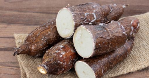 Image de MANIOC 18KG - KG co