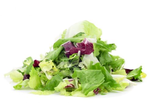 Image de SALADE MIXTE BELGE 6X500GR - PQ