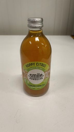 Image de KOMBUCHA HOPPED CITRUS 12X330ML - CAISSE