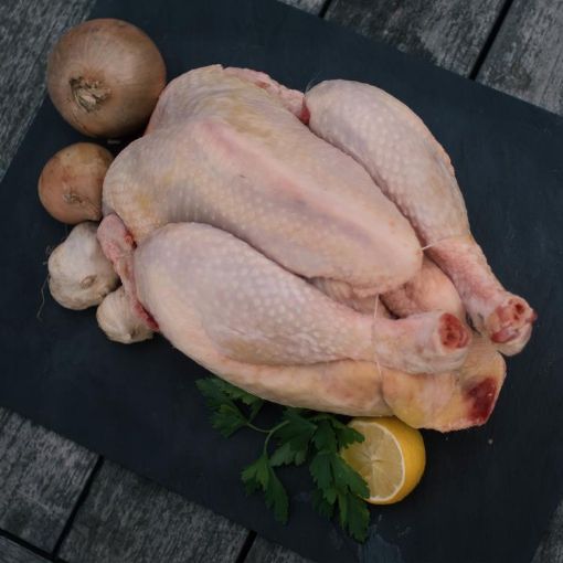 Image de POULET COUCOU MALINES  - KG