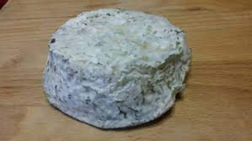 Image de CHEVRE CENDRE - KG