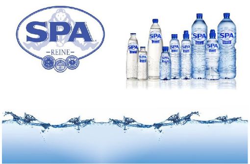 Image de SPA REINE 24X50CL - COLIS