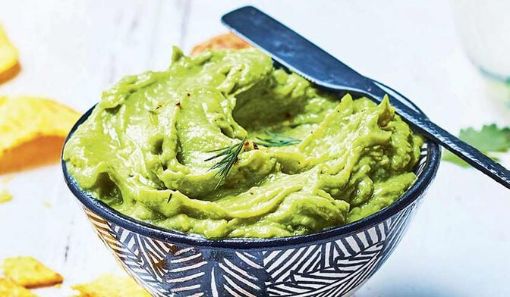 Image de GUACAMOLE SURG 12X500GR - POT