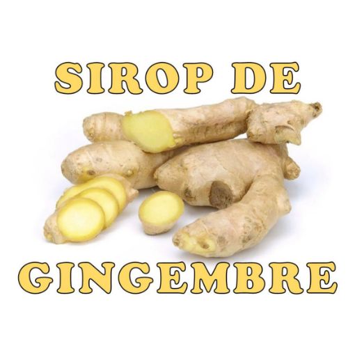 Image de SIROP GINGEMBRE LIQ 6X300ML - BOUT