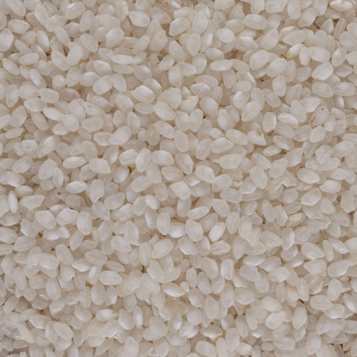 Image de RIZ ROND BLANC 5KG - KG BIO