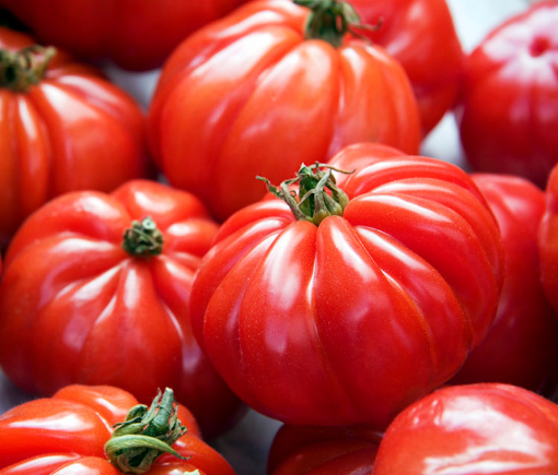 Image de TOMATE MARMANDE 5KG - KG