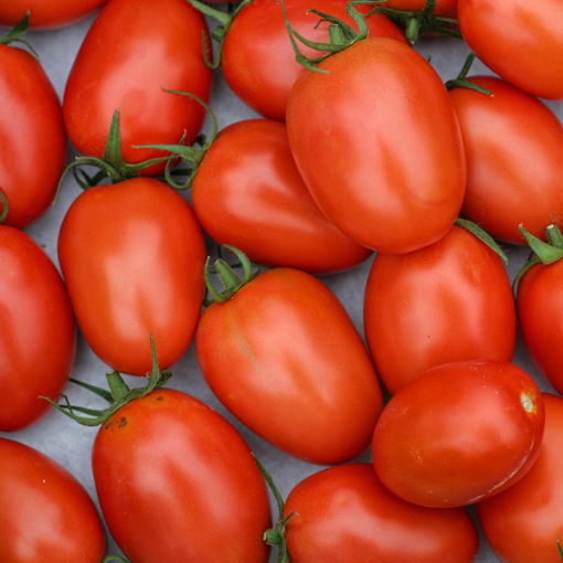 Image de TOMATE ROMA ITALIE 8KG - KG