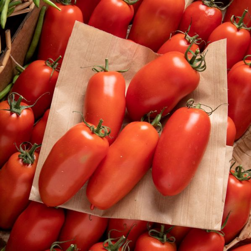 Image de TOMATE TORINO 7KG - KG fr