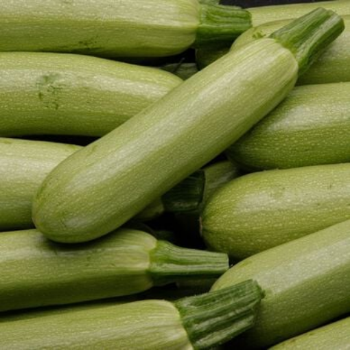 Image de COURGETTE BLANCHE - CAISSE