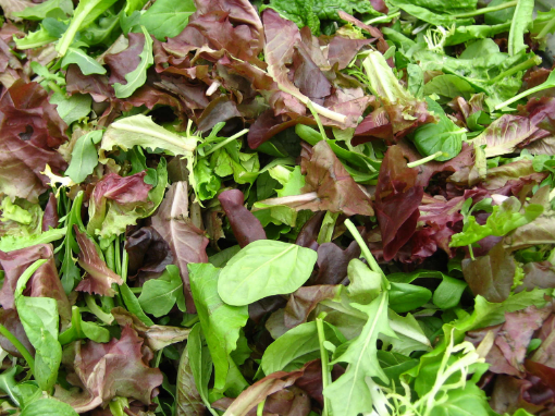 Image de SALADE MESCLUN PICVERT 1KG - COLIS