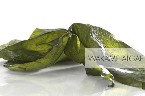 Image de WAKAME ALGUE 1KG - PQ