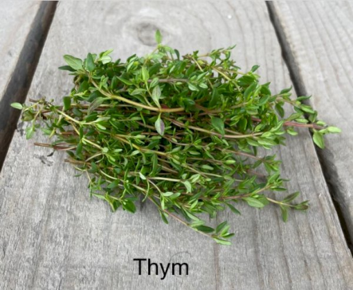 Image de THYM FRAIS 20GR - RV