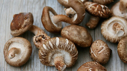 Image de SHITAKE 1.5/2KG - KG be