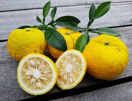 Image de CITRON YUZU  1.5KG - KG it