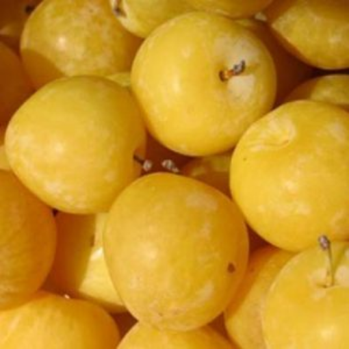 Image de PRUNE JAUNE 5/10KG - KG it