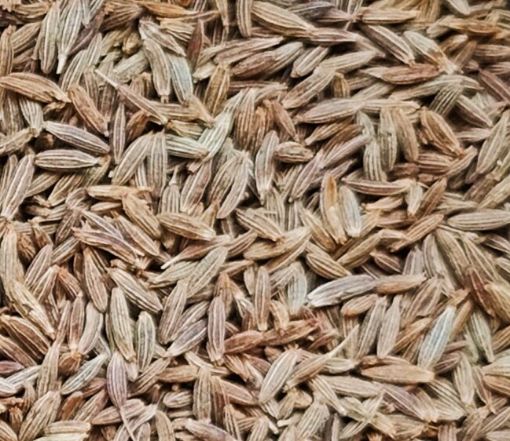 Image de CUMIN GRAINE 10X500GR - PQ