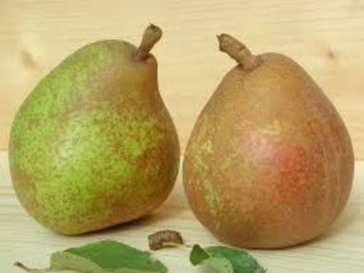 Image de POIRE DOYENNE 7KG - KG be