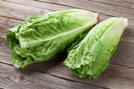 Image de SALADE ROMAINE 10PC - PC es