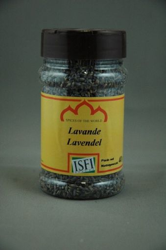 Image de LAVANDE 40GR - POT