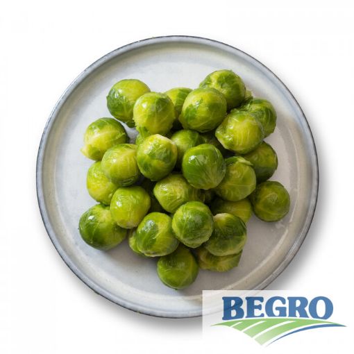 Image de CHOU BXL SURG 4X2.5KG - KG