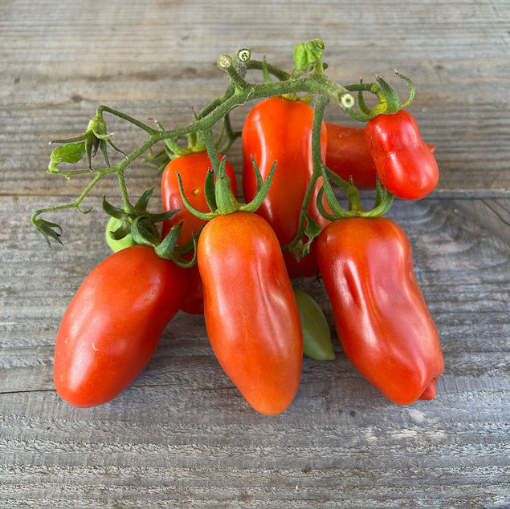 Image de TOMATE SAN MARZANO 4/6KG - KG be