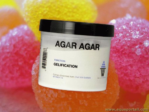 Image de AGAR AGAR 200GR - PC