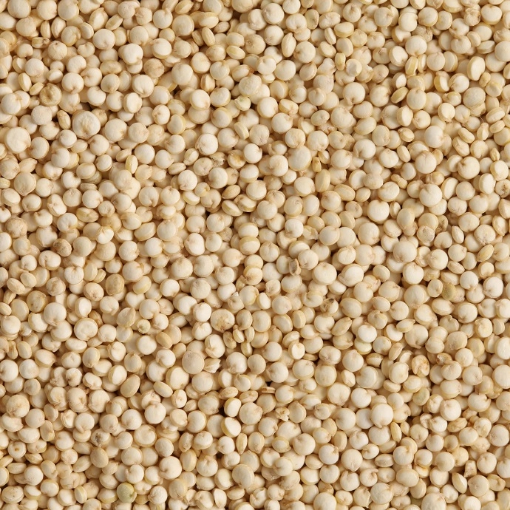 Image de QUINOA 1X5KG - KG BIO