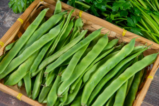 Image de HARICOT VERT PLAT ES 4KG - KG BIO