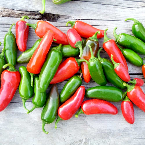 Image de PIMENT JALAPENOS 2KG - KG ma