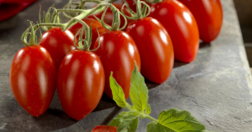 Image de TOMATE GRAPPE MINI SAN MARZANO TBE 3KG - KG BIO