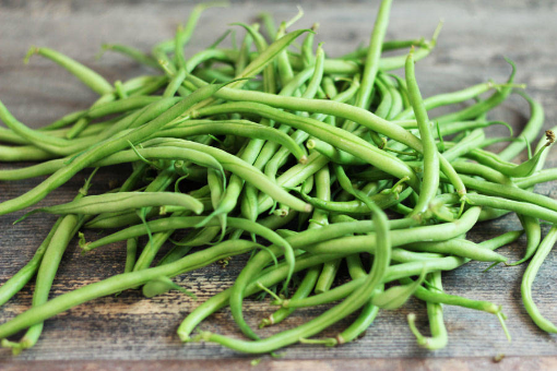 Image de HARICOT VERT NL 4KG - KG BIO