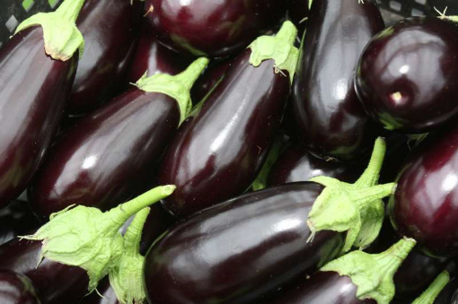 Image de AUBERGINE 5 KG - KG be