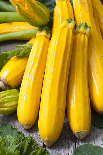 Image de COURGETTE JAUNE 14PC - PC is