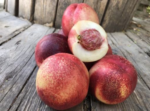 Image de NECTARINE BLANCHE ES 4KG - KG BIO