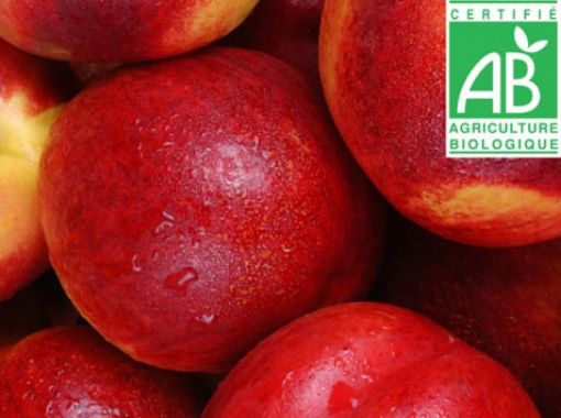 Image de NECTARINE JAUNE ES 4KG - KG BIO