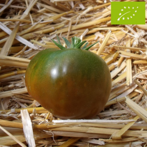 Image de TOMATE NOIRE RONDE BE 6KG - KG BIO