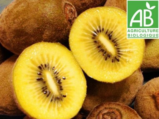 Image de KIWI JAUNE IT 3KG - KG BIO