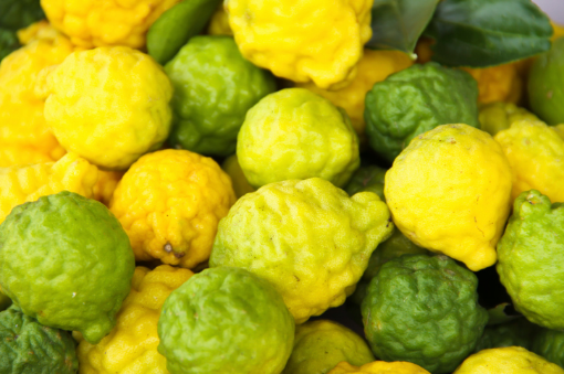 Image de CITRON BERGAMOTE IT 8KG - KG BIO