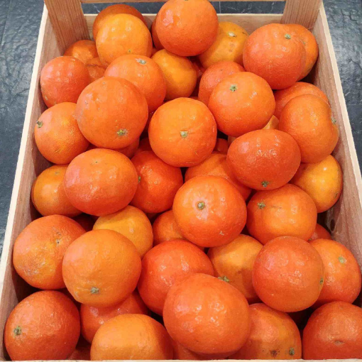 Image de CLEMENTINE IT 6KG - KG BIO