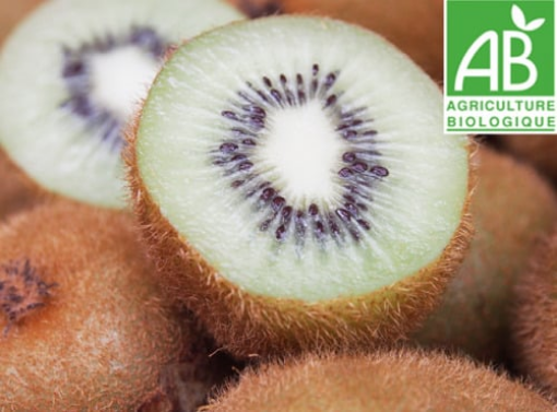 Image de KIWI VERT IT 6KG - KG BIO