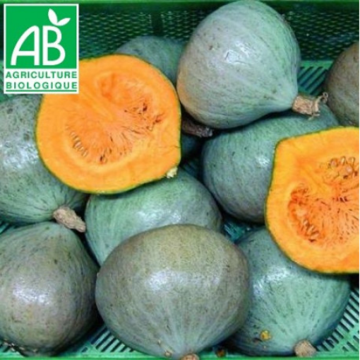 Image de COURGE BLEU DE HONGRIE BE 10KG-KG BIO