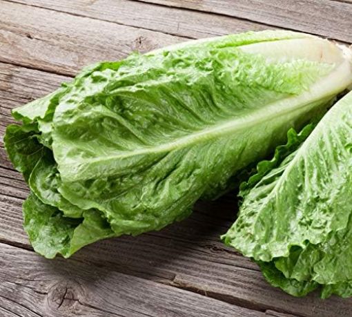 Image de SALADE  LAITUE ROMAINE MINI BE 10PC - PC BIO