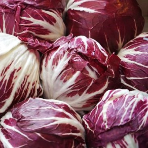 Image de RADICCHIO IT 3KG - KG BIO