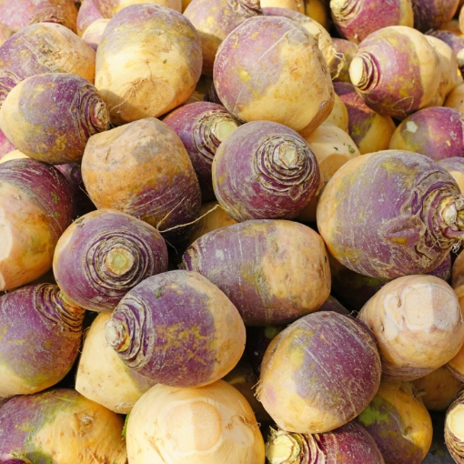 Image de RUTABAGA BE 5KG - KG BIO