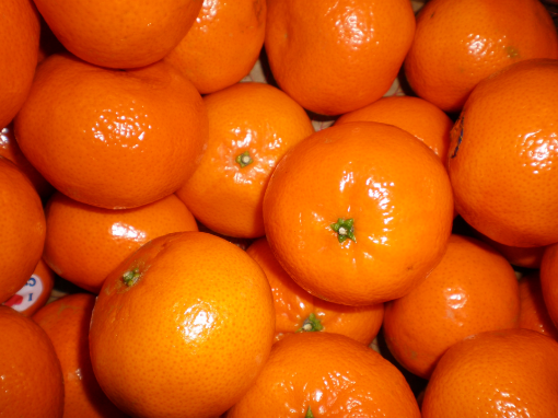 Image de MANDARINE 10KG - KG za