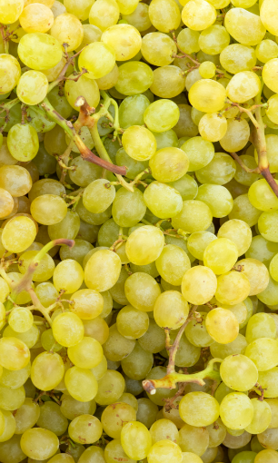 Image de RAISIN BLANC ESP 5KG -KG BIO