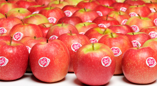 Image de POMME PINK LADY 6.5KG - KG fr