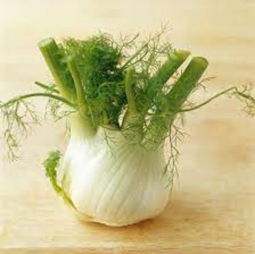 Image de FENOUIL TBE 5KG - KG BIO