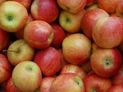 Image de POMME JONAPRINCE DE 13KG - KG BIO