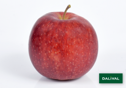 Image de POMME JONAPRINCE DE 13KG - KG BIO